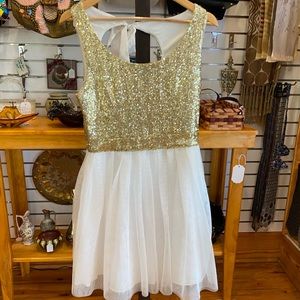 B. Darlin Adorable Sparkly Ice Skater Dress